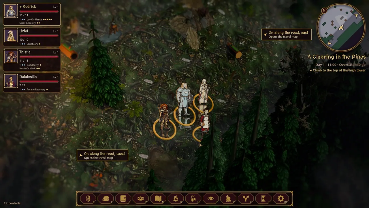 loc forest clearing 1