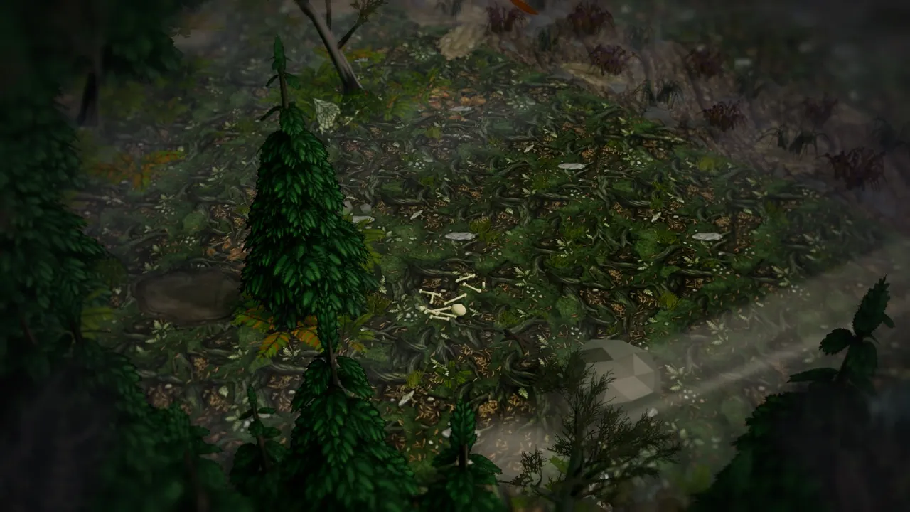 loc ivlis spider gully spot2