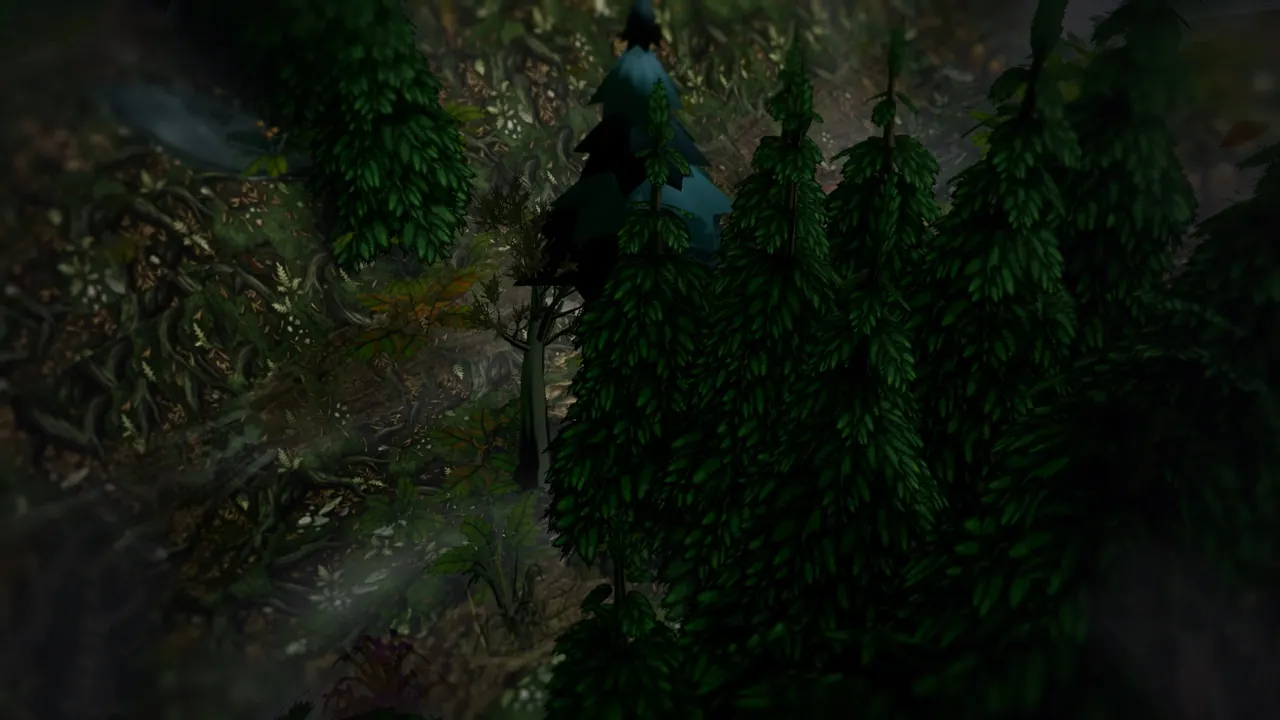 loc road forest spot1